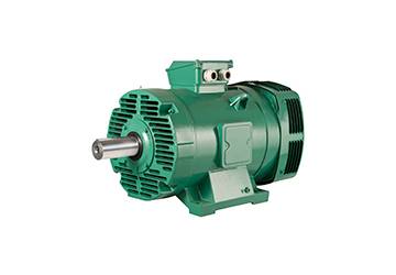 plses Leroy Somer Spindle Motors Dealers In Chennai